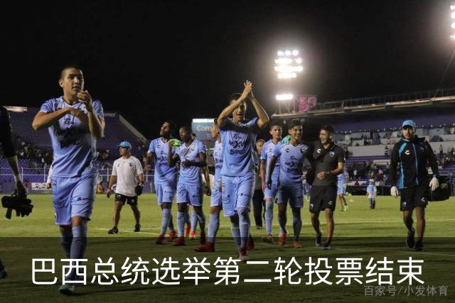 巴西总统选举第二轮投票结束